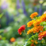 entdecken sie diese langlebige blühpflanze, die ihren garten das ganze jahr über mit lebendigen farben verschönert und für kontinuierliche blütenpracht sorgt.