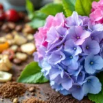 entdecke, wie du mit einfachen küchenresten deine hortensien kräftiger und blühfreudiger machst – ganz ohne dünger!